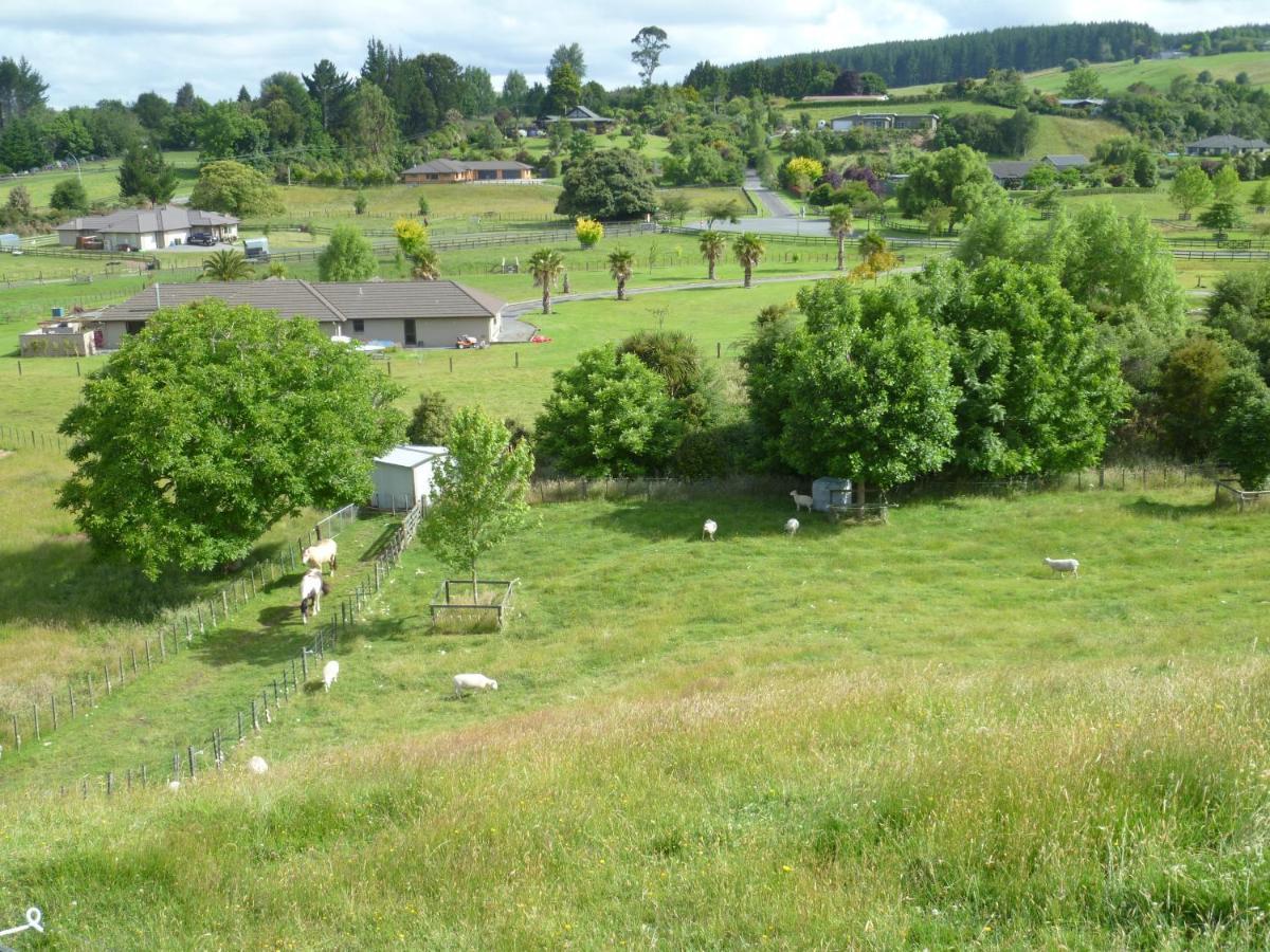 Bellarosa B&B Rotorua Bagian luar foto